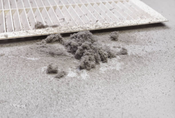 Best HVAC Duct Inspection Services  in Paradise, NV