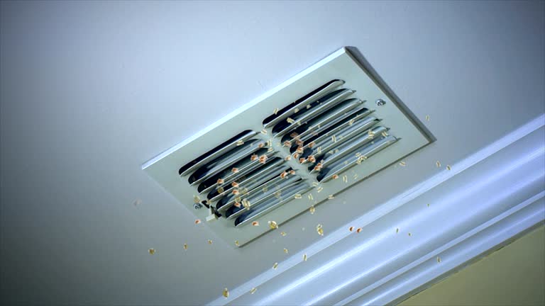 Ventilation Cleaning Services in Paradise, NV